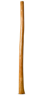 Gloss Finish Didgeridoo (TW1162)